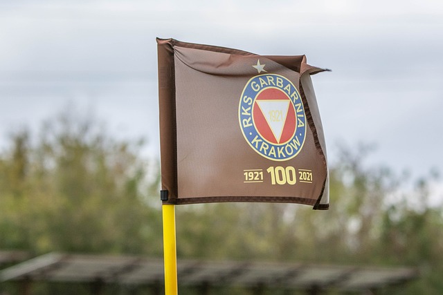 究竟是誰掏 究竟是誰掏