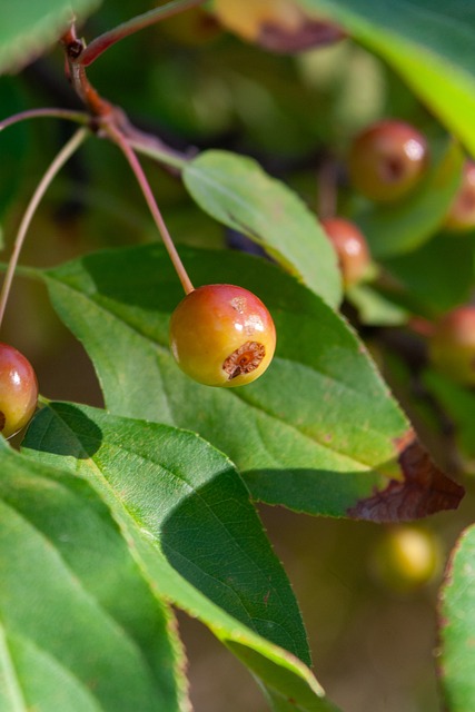 间内不断攀 间内不断攀