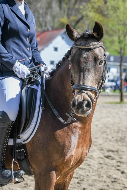 深入探讨周 深入探讨周