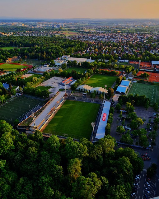 积累和调整 积累和调整