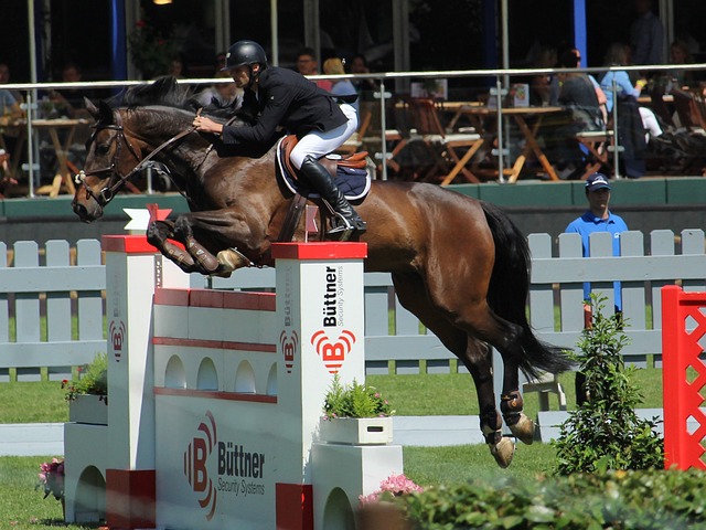 頑皮的兒時 頑皮的兒時