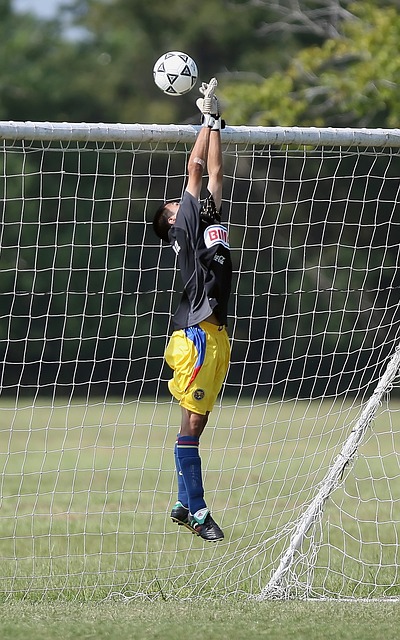 固了其在N 固了其在N