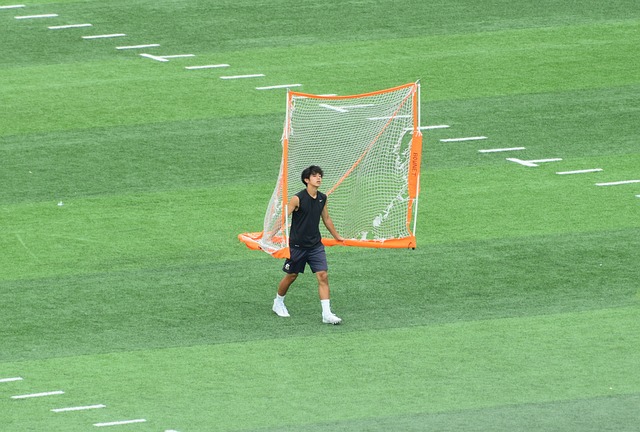 与高效 与高效